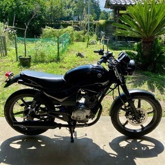 【福岡県送料無料！】YBR125 空冷4スト　ヤマハ　125ccの画像