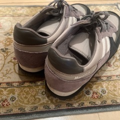 ZDAスニーカーの画像
