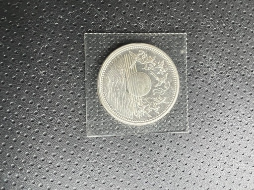 天皇陛下御在位60年記念　1万円銀貨