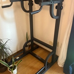 懸垂マシンの画像