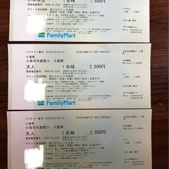 残り11時間　鳥羽水族館　入館券3枚セット　
