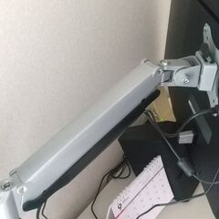 【持ち帰り限定】ELECOM ディスプレイアーム DPA-SL02SV＋ディスプレイLG 32ML600M-Bの画像
