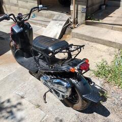 ホンダズーマー50の画像