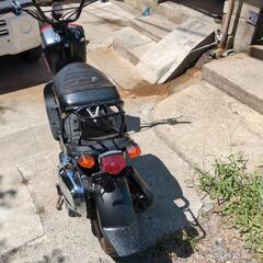 ホンダズーマー50の画像