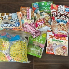 ハムスター飼育セットの画像
