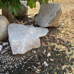 庭用の石の画像