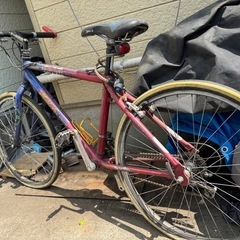 アラヤ マウンテンバイクの画像