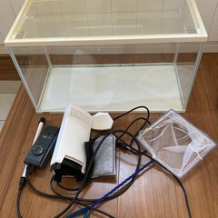 水槽の画像