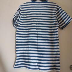 メンズ　ボディワイルド　半袖Tシャツ　Mサイズの画像