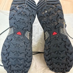 サロモン　Salomon Ultra X ハイキングシューズ
の画像