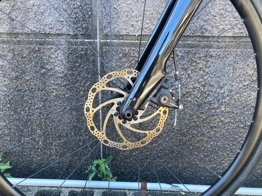 Trek Domane AL2 2023年
