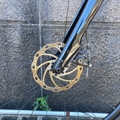 Trek Domane AL2 2023年の画像