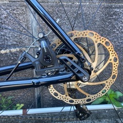 Trek Domane AL2 2023年の画像