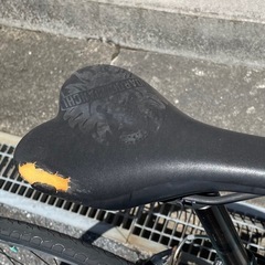 【整備済み】BIANCHI CAMALEONTE 1　の画像