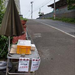 みょうが 詰め放題 無人販売の画像