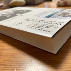 RADWIMPS 本 美品の画像