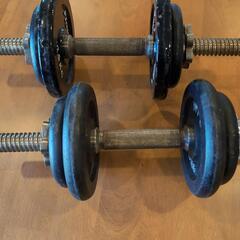 ダンベル20kg （片手10kg×2個）の画像