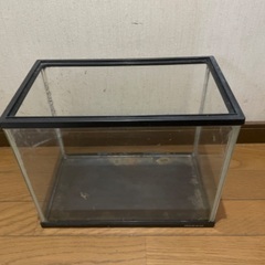 フレーム付きガラス水槽の画像