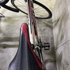 Trek Alpha アルミニウム ロードバイク トレックの画像