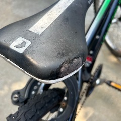 希望価格ありますか？　ルイガノ LOUIS GARNEAU LGS-J206 20インチ　小学生 子供用 自転車の画像