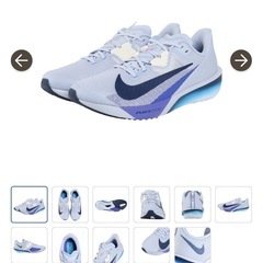 ナイキ(NIKE)(メンズ、レディース)エア ズーム 25.5の画像