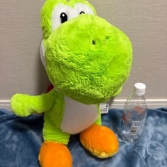 新品未使用　ヨッシーの画像