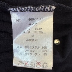 ビジューロンＴの画像