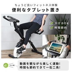 ハイガー（HAIGE）　エアロバイクの画像