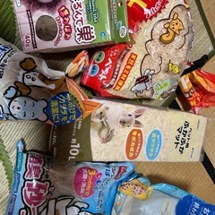 ハムスターの色々の画像