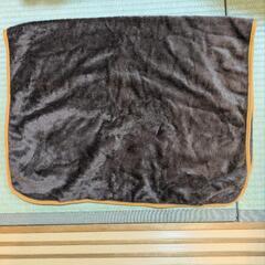 未使用です！ブランケット２枚で　肩掛け　袋入の画像