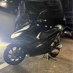 pcx81の画像