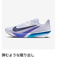 ナイキ(NIKE)(メンズ、レディース)エア ズーム 25.5の画像