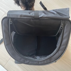 犬　リュックの画像