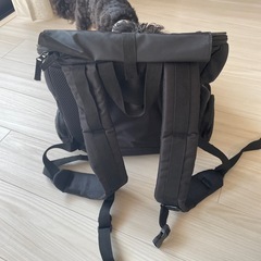 犬　リュックの画像