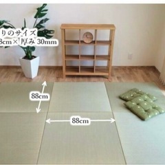 い草 置き畳 4枚セット 88cm×88cm 30mm厚＋洗えるPPカーペットの画像
