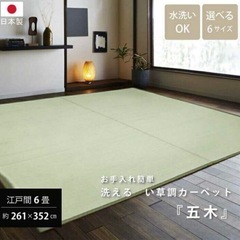 い草 置き畳 4枚セット 88cm×88cm 30mm厚＋洗えるPPカーペットの画像