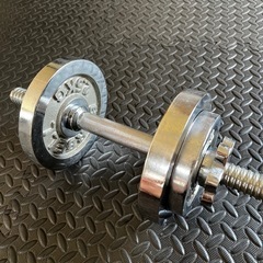ダンベルセット 10kg 2.5KG×2 1.25KG×2 の画像
