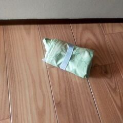 エコバッグ　黄緑　中古品の画像