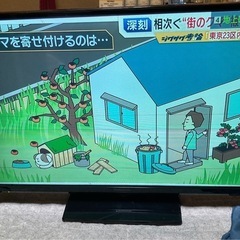 パナソニック32インチTV TH32-E300の画像