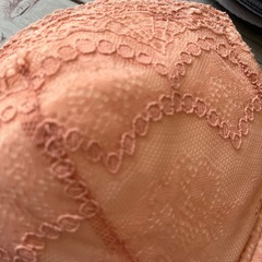 ワコール未使用ブラ２枚の画像