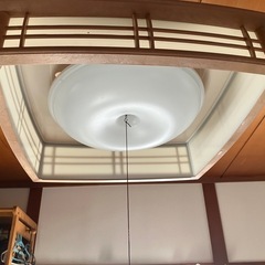 傘電気の画像