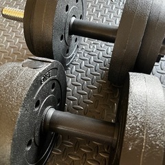 La-VIE  メガダンベルセット  10kg  2個セットの画像