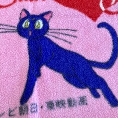 セーラームーン毛布の画像