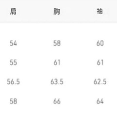 韓国シルキーシャツの画像