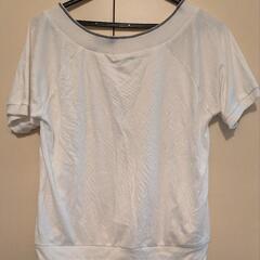 白の丈短めのTシャツの画像