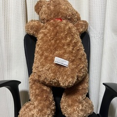 【ご相談中】くま　ぬいぐるみ　大の画像