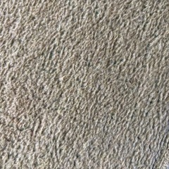 4.5畳カーペットの画像