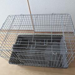0円 うさぎが上手に飼える
リビングルーム Ｌの画像