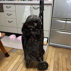 買い物用キャリーの画像
