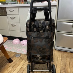 買い物用キャリーの画像
